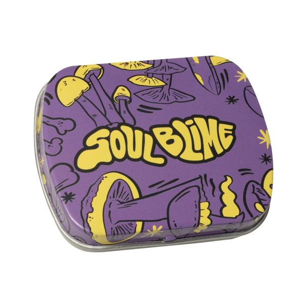 Contenedor Metálico Tapa Bisagra – Soulblime 3